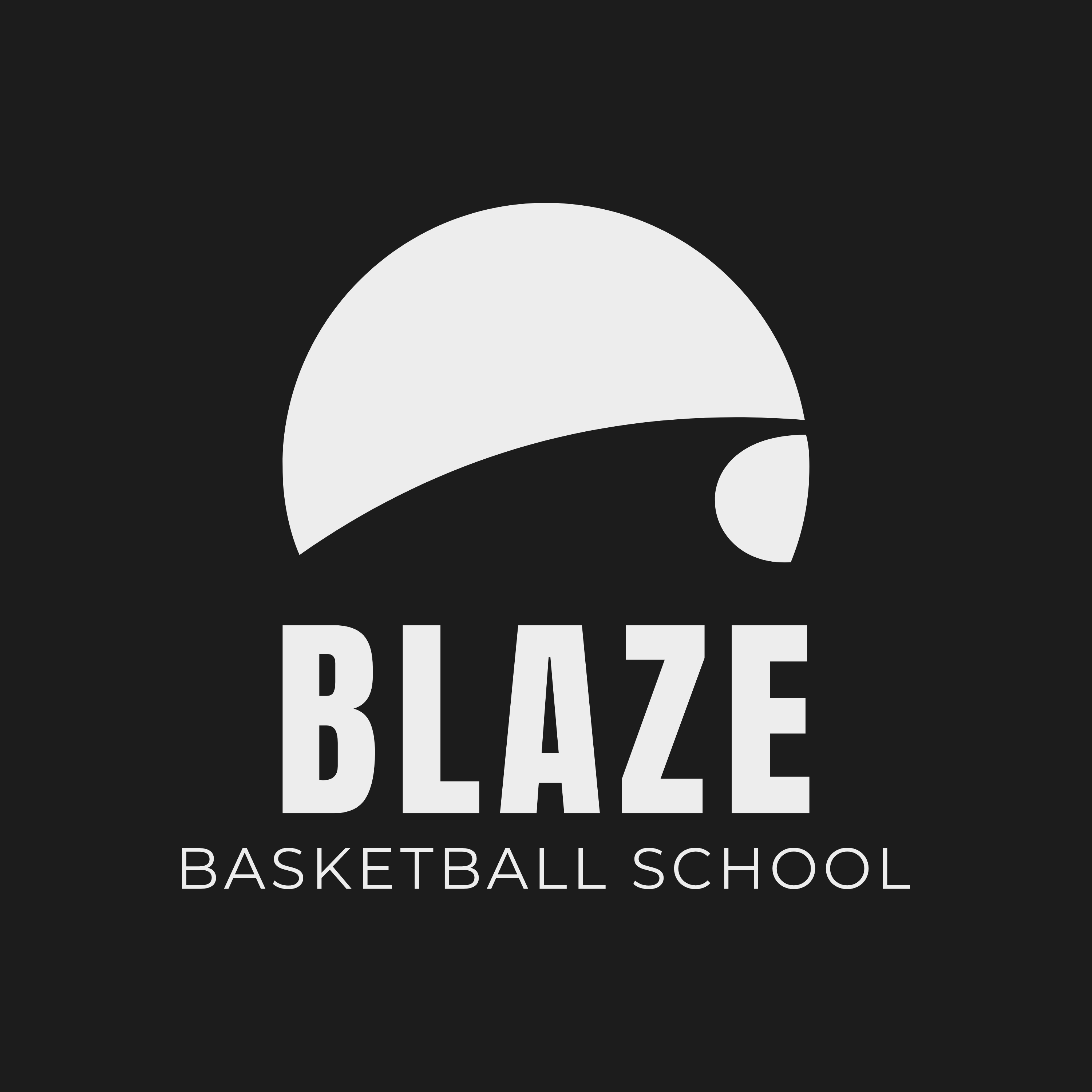 BASKETBALL SCHOOL BLAZE